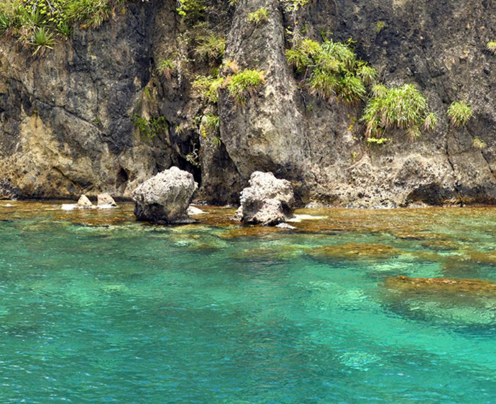 StPierre excursion-bateau-dauphin-tortue-martinique